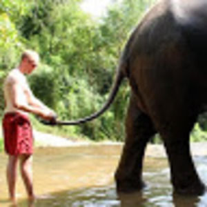 Meet your Posher, Dan